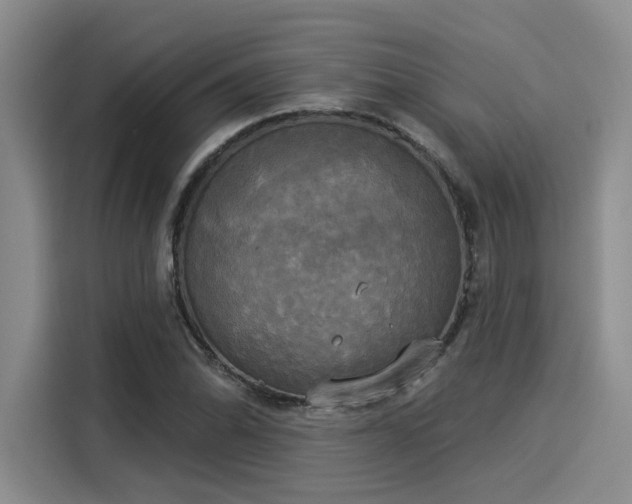 X0000116031070200911271131