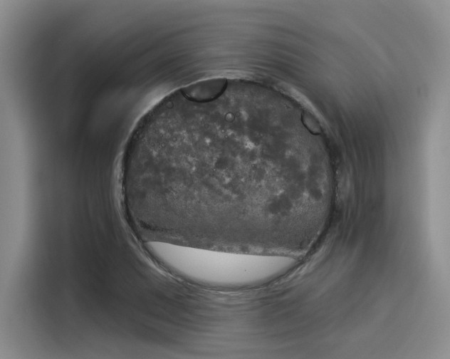 X0000116031071200911271131