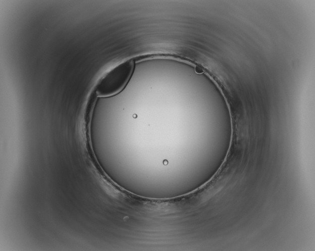 X0000116031072200911271131