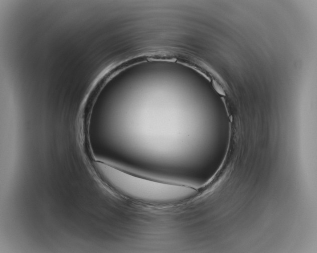 X0000116031075200911271131