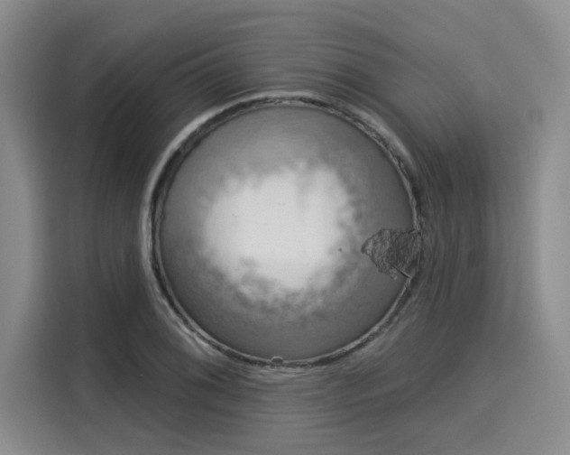 X0000116031076200911271131