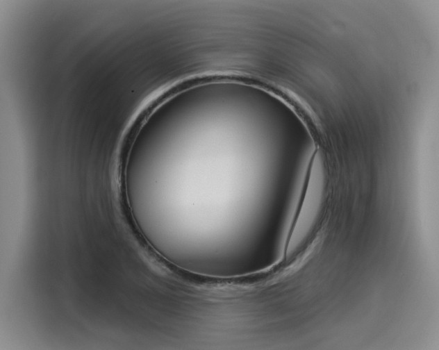 X0000116031077200911271131