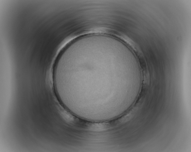 X0000116031078200911271131