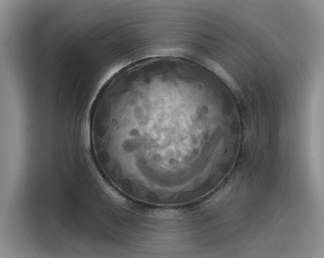 X0000116031079200911271131