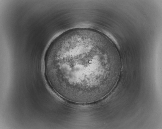 X0000116031080200911271131