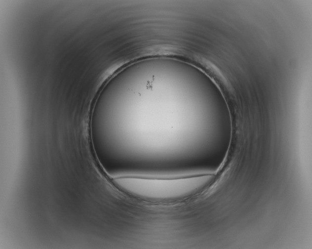 X0000116031081200911271131