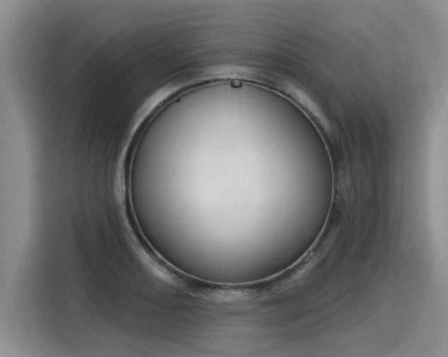 X0000116031082200911271131