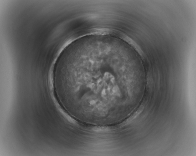 X0000116031083200911271131