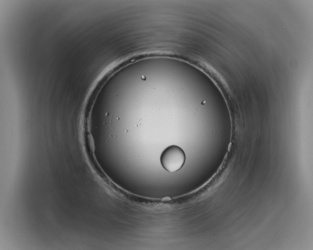 X0000116031085200911271131