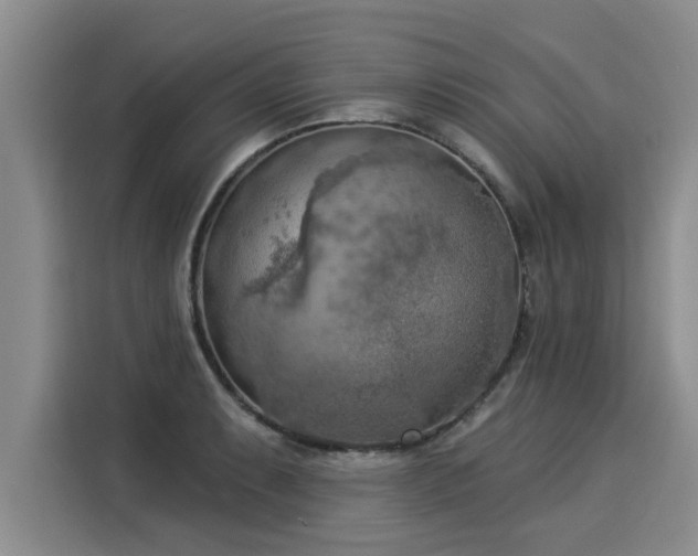 X0000116031087200911271131