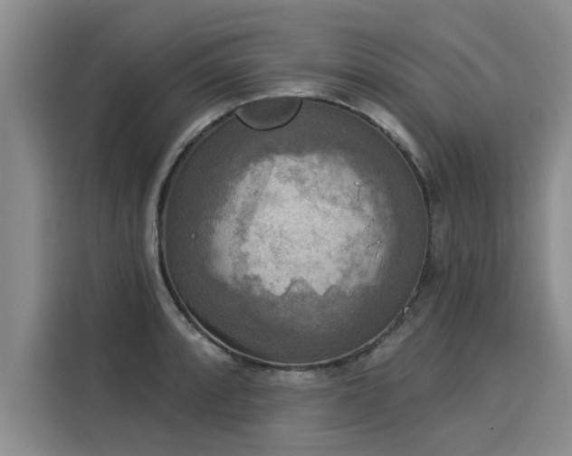 X0000116031088200911271131