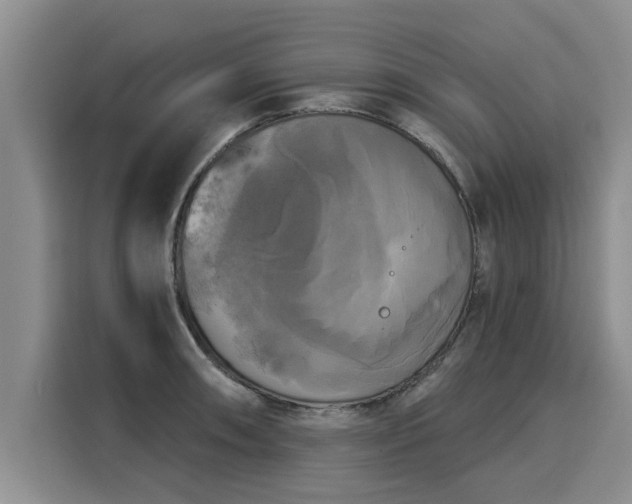 X0000116031090200911271131