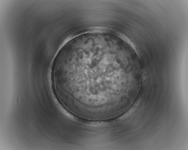 X0000116031091200911271131