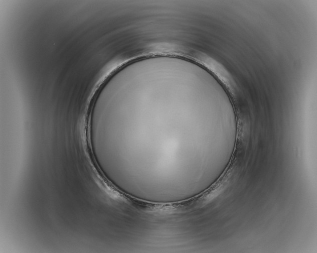 X0000116031094200911271131