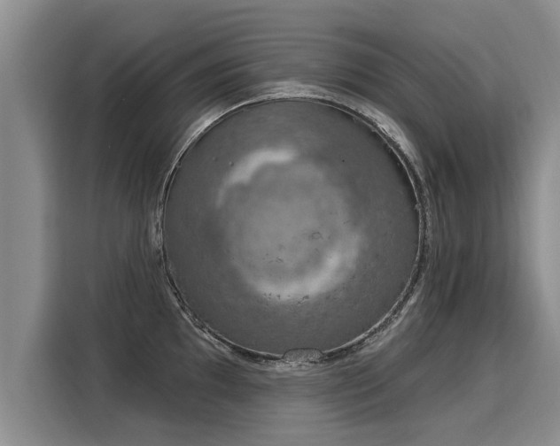 X0000116031097200911271131