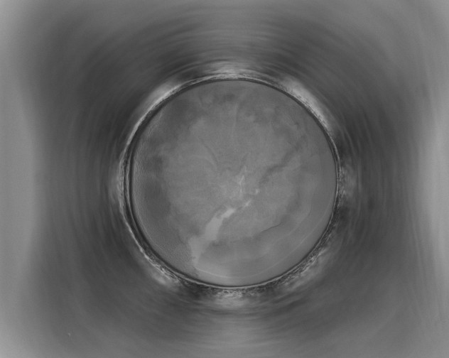 X0000116031098200911271131