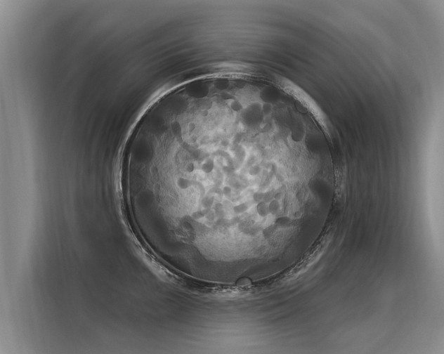 X0000116031099200911271131