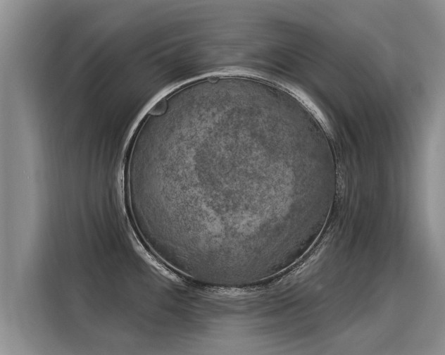 X0000116031100200911271131