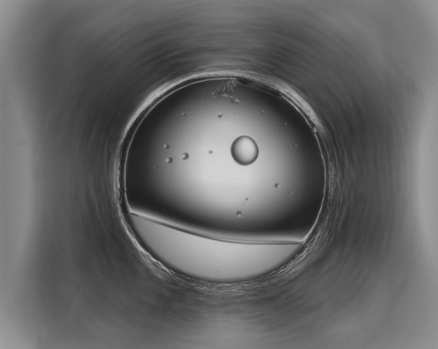X0000116031101200911271131