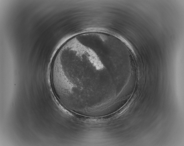 X0000116031102200911271131