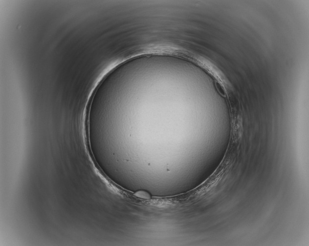 X0000116031103200911271131