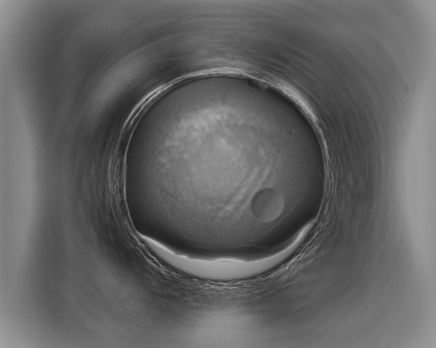 X0000116031104200911271131