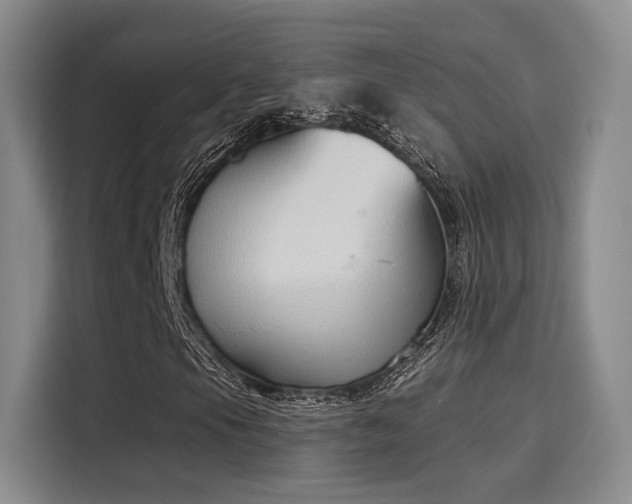 X0000116031105200911271130