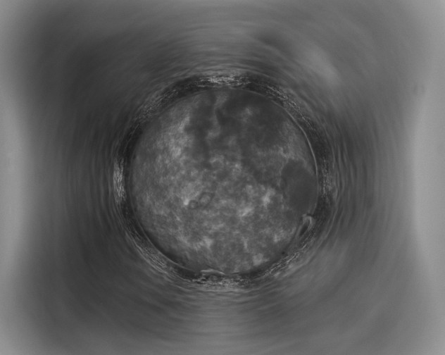 X0000116031106200911271130