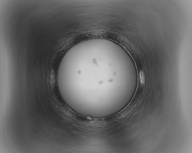 X0000116031107200911271130