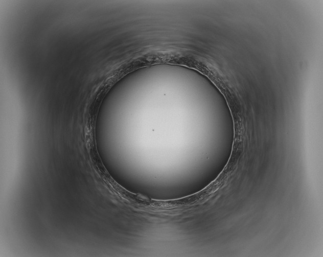 X0000116031109200911271130