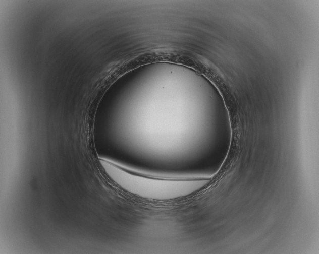X0000116031110200911271130