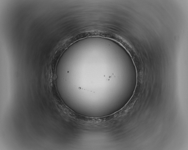 X0000116031111200911271130