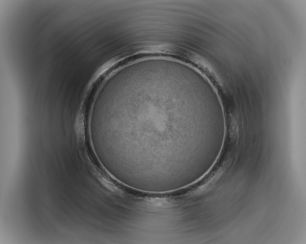 X0000116031114200911271130