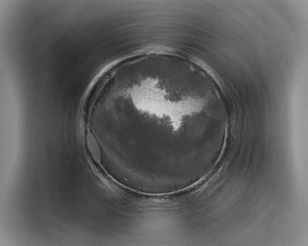 X0000116031115200911271130