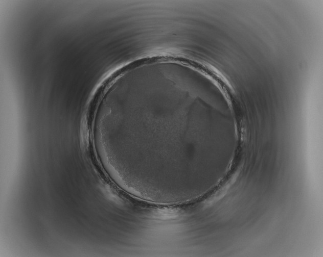 X0000116031117200911271130
