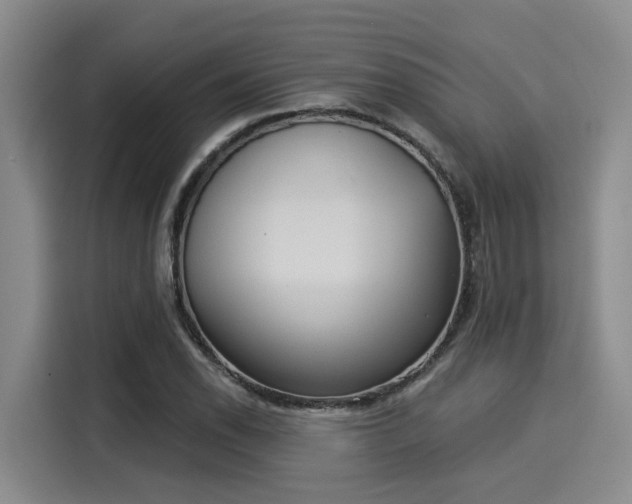 X0000116031118200911271130