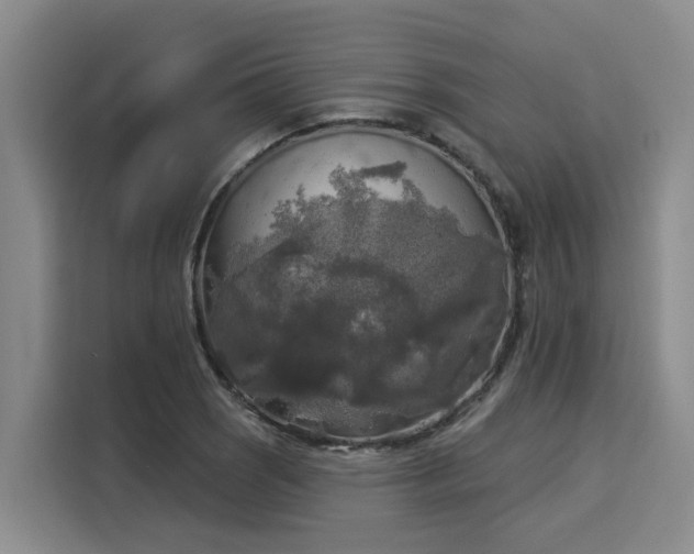 X0000116031121200911271130