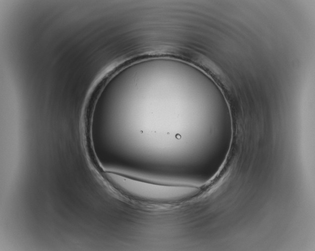 X0000116031122200911271130