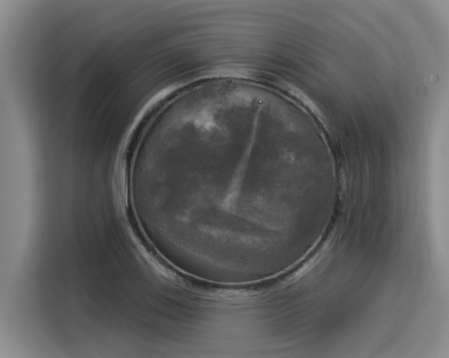 X0000116031123200911271130