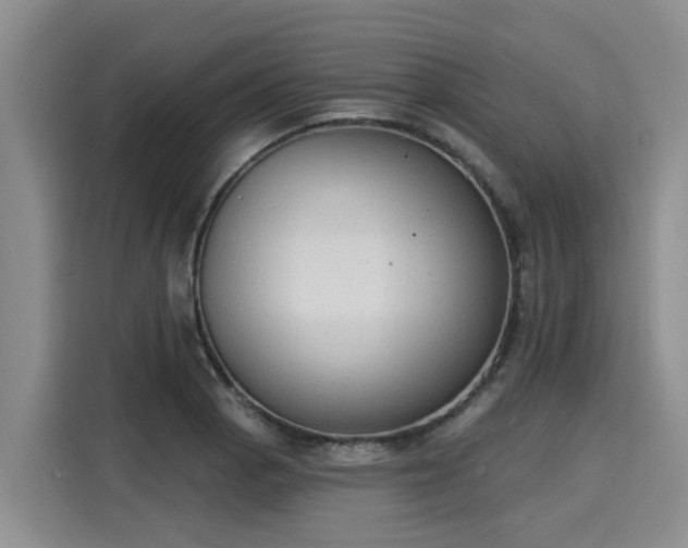 X0000116031129200911271130