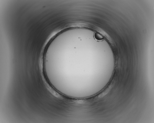 X0000116031130200911271130