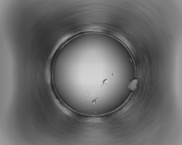 X0000116031131200911271130