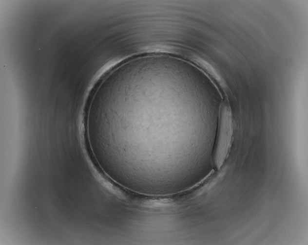 X0000116031133200911271130
