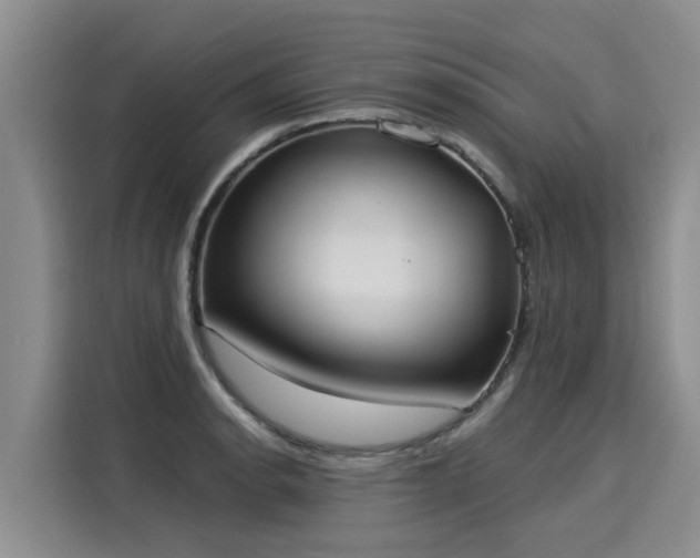 X0000116031134200911271130
