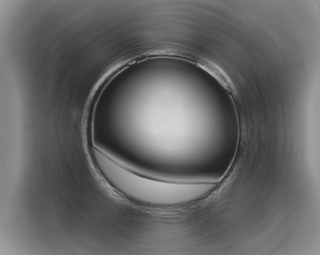 X0000116031138200911271131