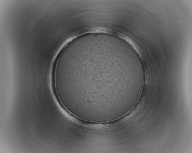 X0000116031139200911271131