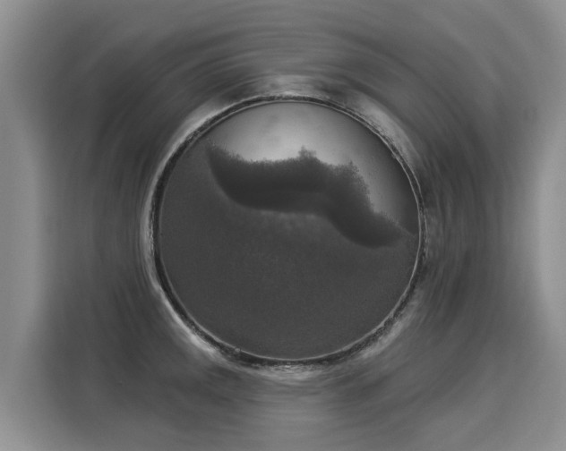 X0000116031141200911271131