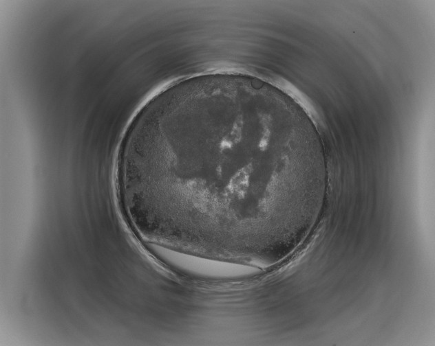 X0000116031142200911271131