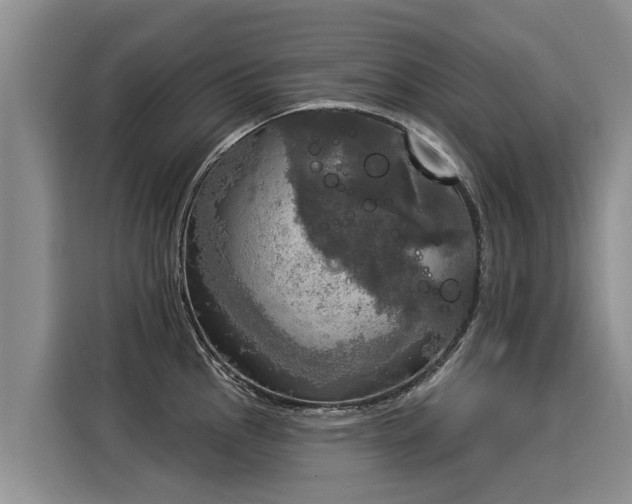 X0000116031145200911271131