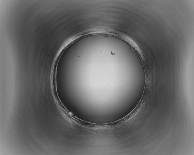 X0000116031146200911271131